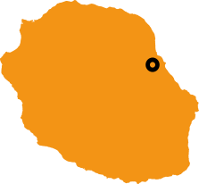 gallery/logo réunion